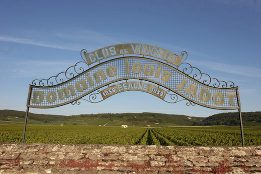 Elegáns francia Pinot Noir vörösbor - Louis Jadot, Burgundia – Prémium bor webshop