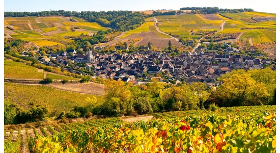 A burgundi fehérborok világa: Chablis, dűlők és kiemelkedő pincészetek