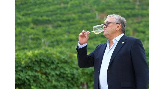 Olaszország világhíres habzóbora: a Prosecco