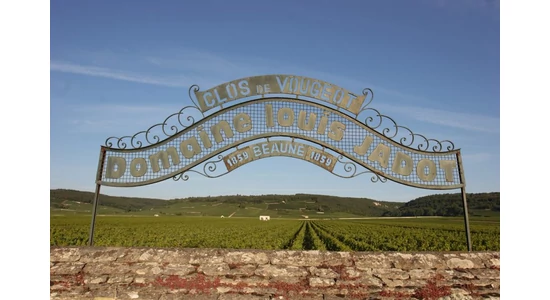 Burgundia és a Pinot noir