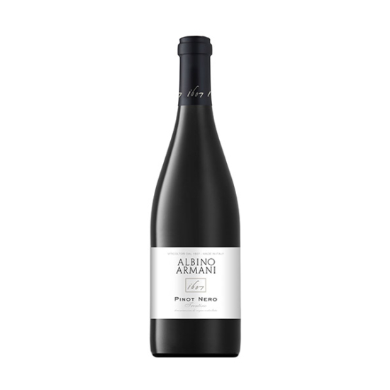 Albino Armani: Pinot Nero Santa Lucia 2020 vörösbor (Friuli, Olaszország)