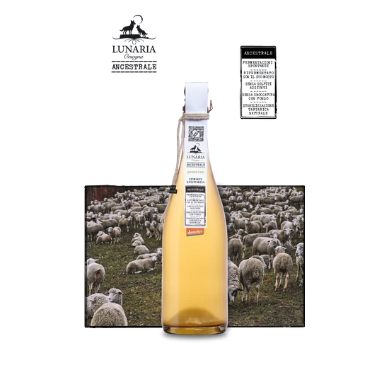 Orsogna: Pecorino Pét-Nat Brut Nature Spumante olasz habzóbor (Abruzzo, Olaszország) *biodinamikus